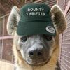 bountythrifter